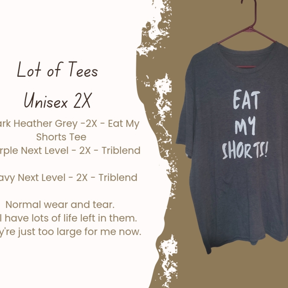 Lota Of UNISEX Triblend Tees(3) - ALL SIZE 2X